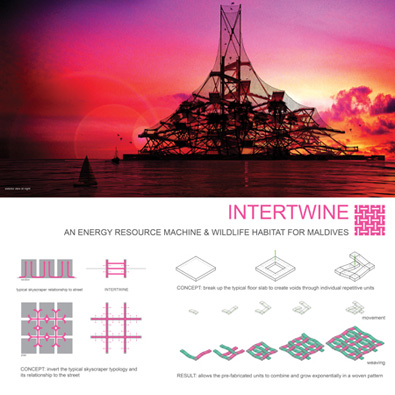 INTERTWINE (Marilina Cianci and Yekaterina Artemchuk) INTERTWINE (Marilina Cianci and Yekaterina Artemchuk)