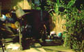 Figure 5.10 : Communal handpumps were provided by the local government.