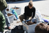 Loosening the soil Loosening the soil
