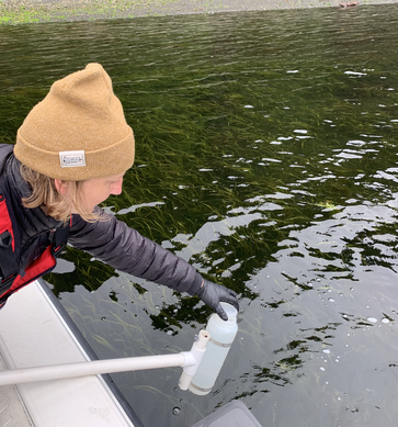Sampling seawater just below the surface of a seagrass bed in Quatsino Sound, British Columbia