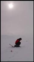 Image source: Murray Humphries Pretzlaw snow tracking