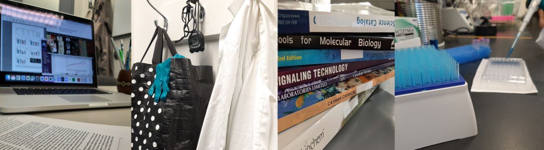 computer,books,a bag and labcoat and stop watch and pipetting liquid showing services available