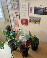 Three plants on a desk next to a window in front of postcards and tiles on the wall