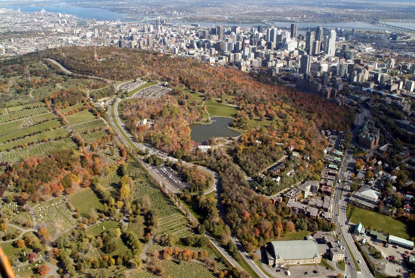 Listcrawler Montreal