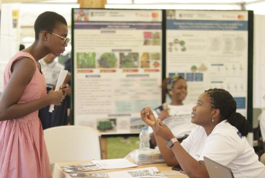 Thesis Presentations at UG