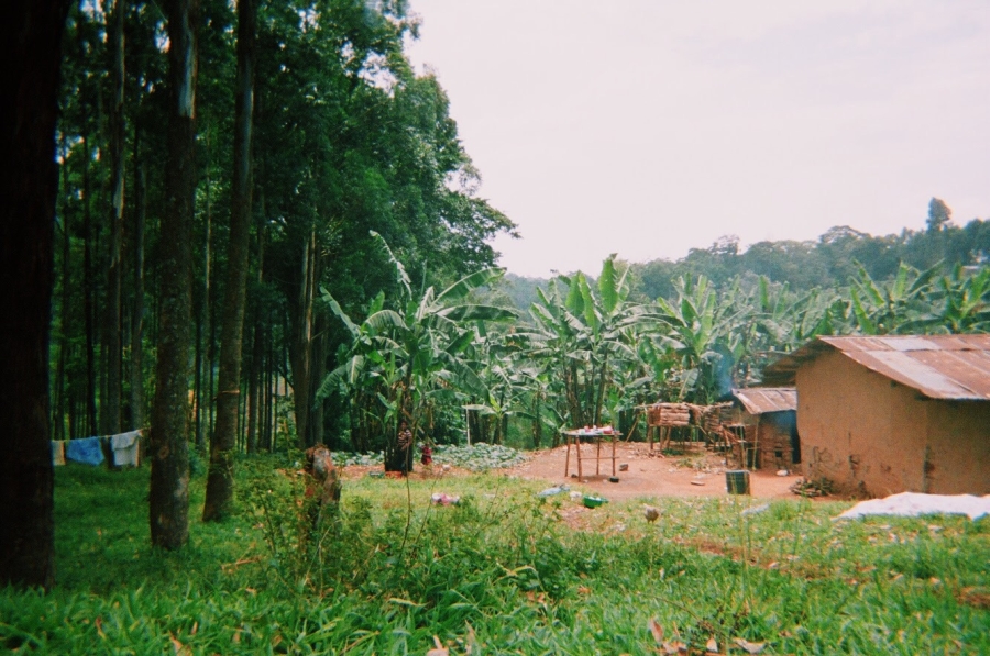 House in Kanyawara, Uganda on the outskirts of Kibale National Park
