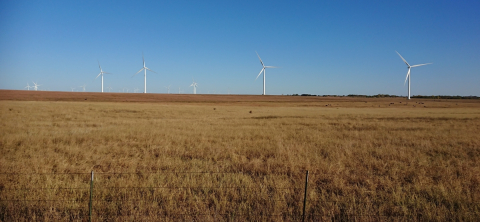 landscape featuring a cornfield under a blue sky. Windfarms spread across the field.