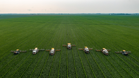 Detasseling Corn in Central Illinois, 7 farming machines on a large green field in Illinois. Photo by James Baltz (Unsplash)