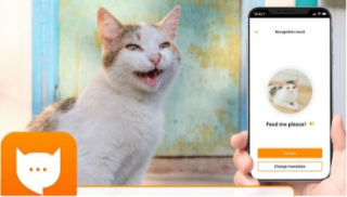 Cat meme with a smartphone pointed at a white and brown cat. the phone displays a translation app that seems to translate the cats meows. The translated text reads, "Feed me please"