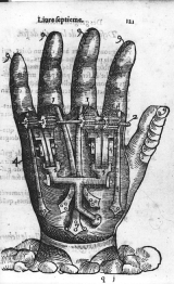 anatomical drawing of a hand dating to 1585. a cross section of a hand reveals a mechnical mechanism. image from Lane Medical Library, Stanford University School of Medicine