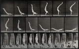 A man standing on his hands from a lying down position, with each image depicting a moment in the process. hotogravure after Eadweard Muybridge, 1887
