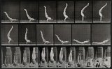 A man standing on his hands from a lying down position, with each image depicting a moment in the process. hotogravure after Eadweard Muybridge, 1887