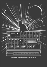 Cats On Synthesizers In Space