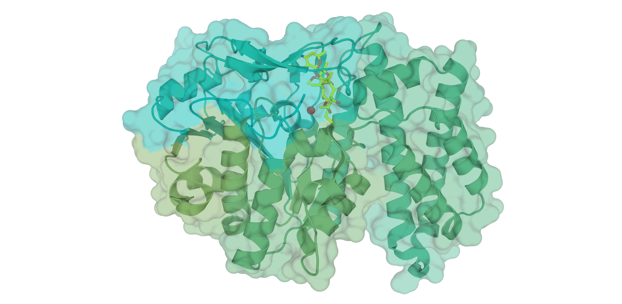 structural details of EreC, an enzyme responsible for macrolide resistance