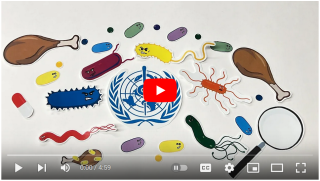 Piece of chicken and lots of different types of microbials with a magnifying glass in the corner