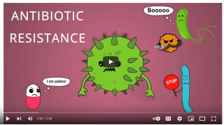 AMR Student Video Entry #1