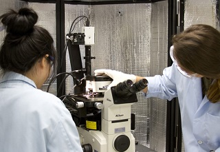 Students in a lab