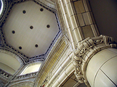 st louis university masters of anatomy st louis university masters of anatomy