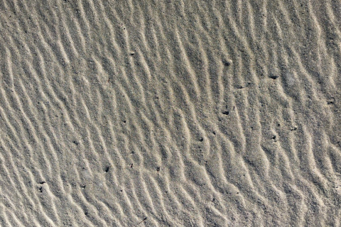 Patterns in sand