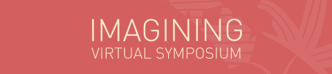Imagining a virtual symposium