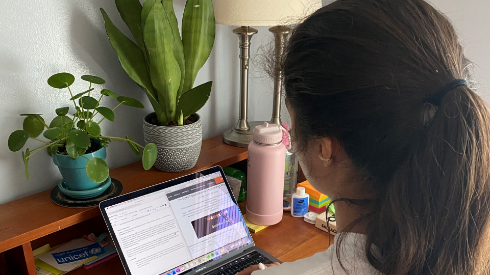 Shaydah Ghom working at her desk.
