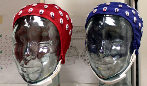 EEG recording device on model heads. 