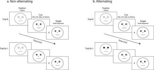 Schematic of the cue stimuli used in the study for Experiment 1. A series of faces with eyes directed in different directions. 