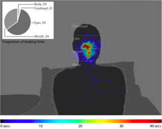 A heat map of eye movement and proportions data. Shows that looking time is primarily directed towards eyes and mouth.
