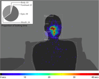 A heat map of eye movement and proportions data. Shows that looking time is primarily directed towards eyes and mouth. 