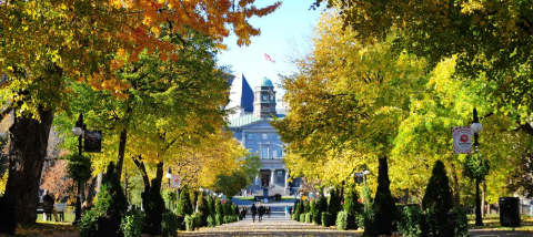 Fall on campus 