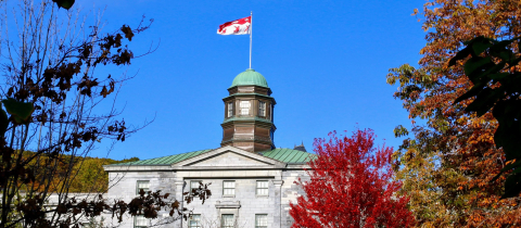 McGill flag on Arts building 