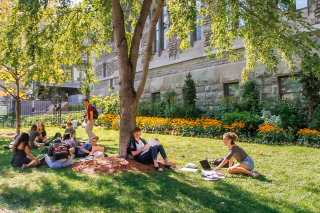 Group of students sitting under tree