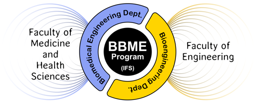 Relationship between the BBME interfaculty studies program and administering departments