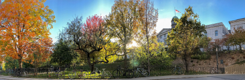 McGill campu in the fall