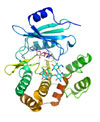 Structural Studies of Antibiotic Resistance Mechanisms