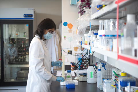 A young woman scientist does work in a lab