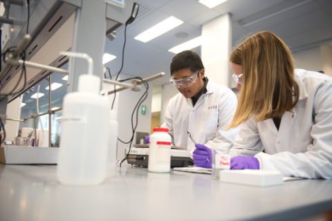 Two students perform an experiment in a lab