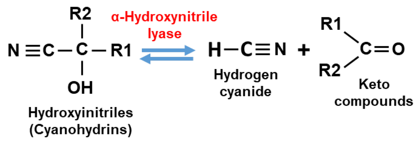 Reaction of a cyanohydrin