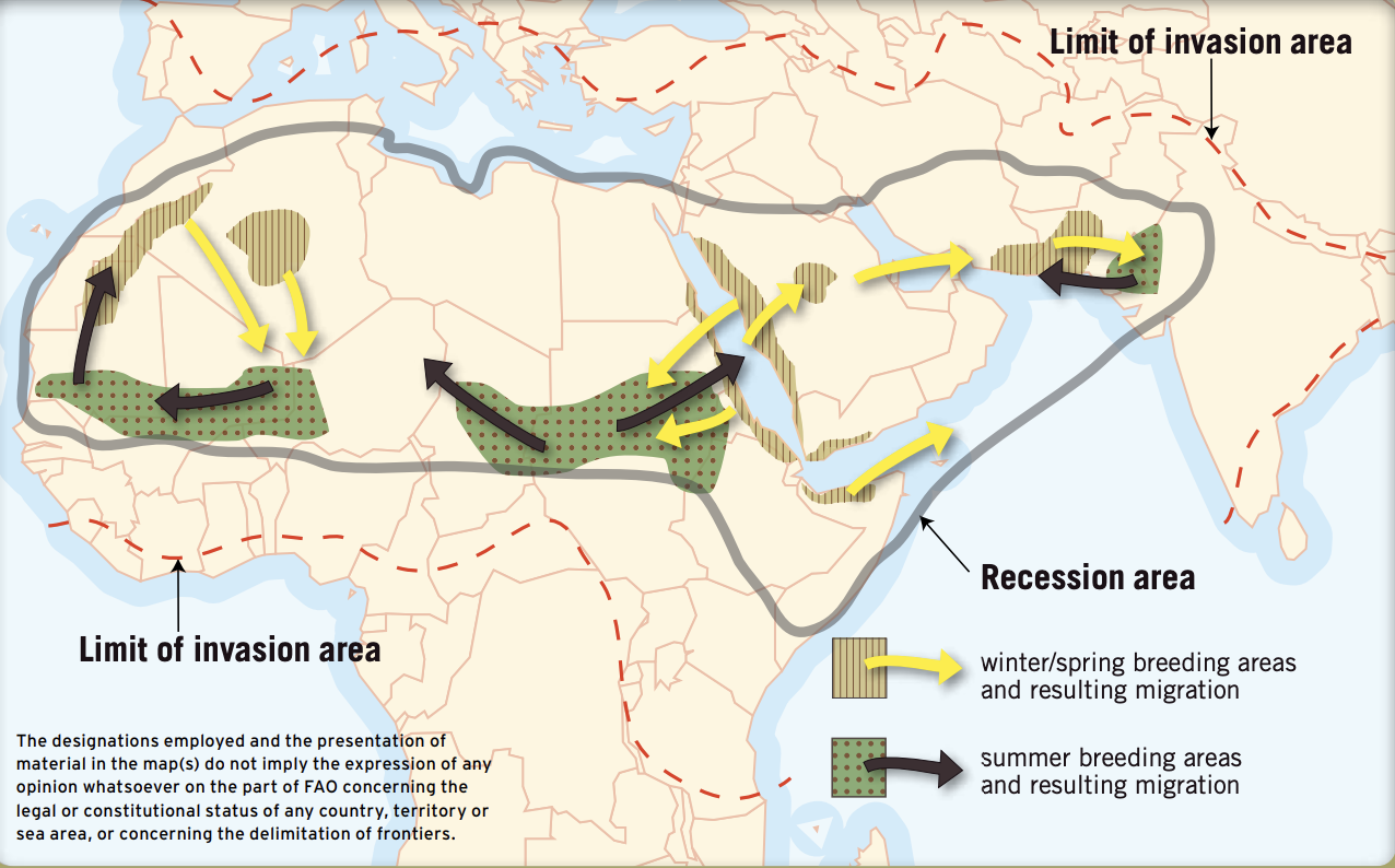 Map of northern Africa displaying the migratory patterns of desert locusts 