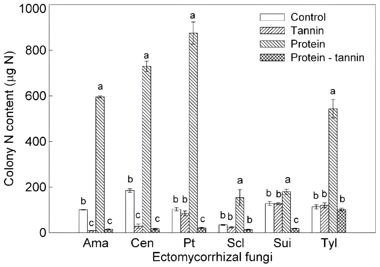 Nitrogen content of six ectomycorrhizal fungi