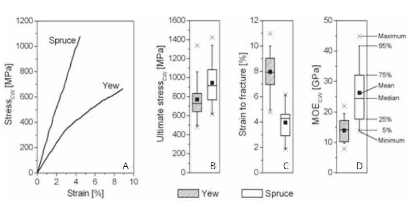 Spruce mechanical test results