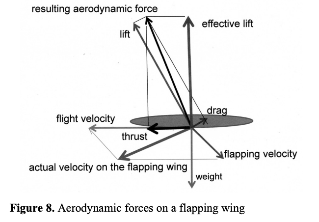 Free-body diagram of the forces acting on an airfoil during flight