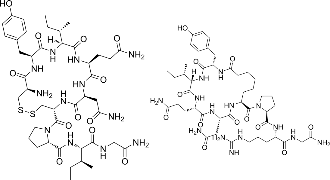 The chemical structures mesotocin and vasotocin