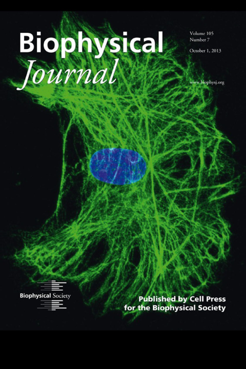 Image from Dr. Allen Erlicher's research on the cover of the Biophysical Journal (October 2013)