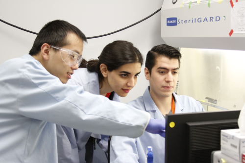 Students in Dr. Matt Kinsella's lab