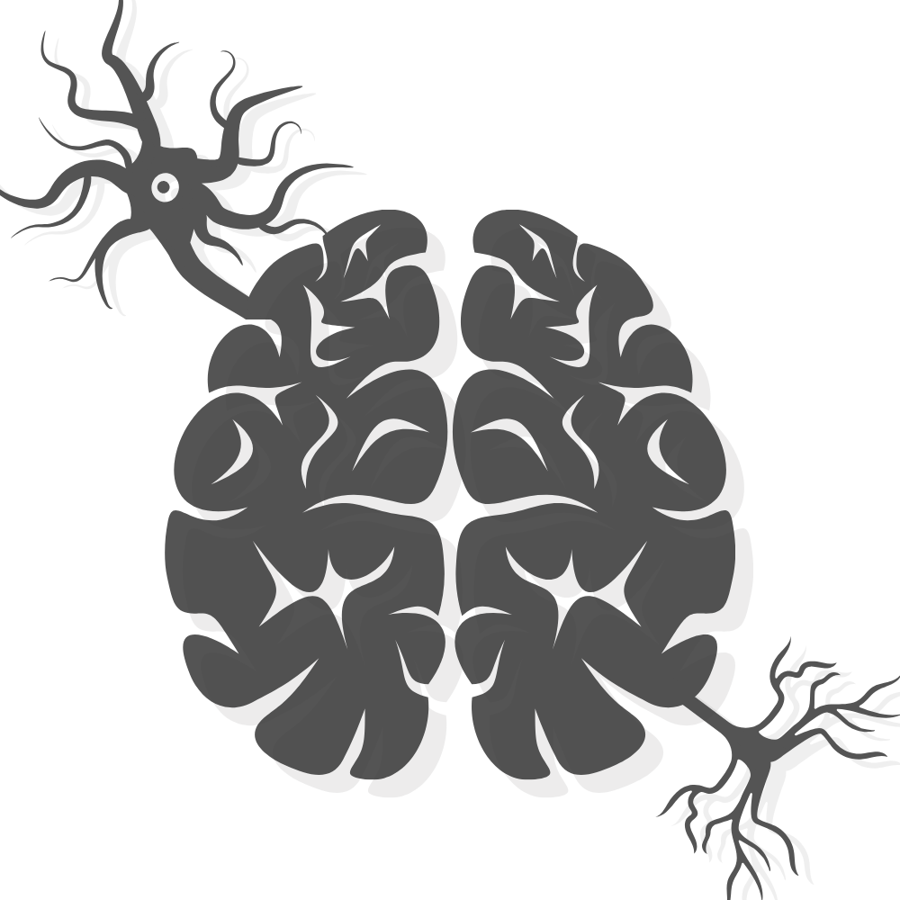 brain and a neuron