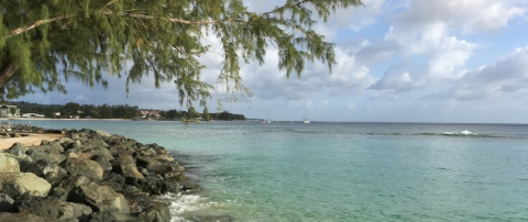 Shore at Bellair's Research Institute in Barbados