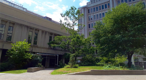 west block of stewart biology building from the courtyard