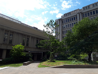 the courtyard of Stewart Biology Building, facing the west block