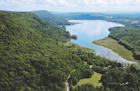 aerial photo of a river running through a forest